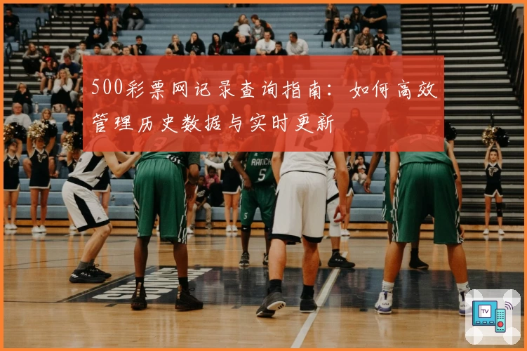 500彩票网记录查询指南：如何高效管理历史数据与实时更新