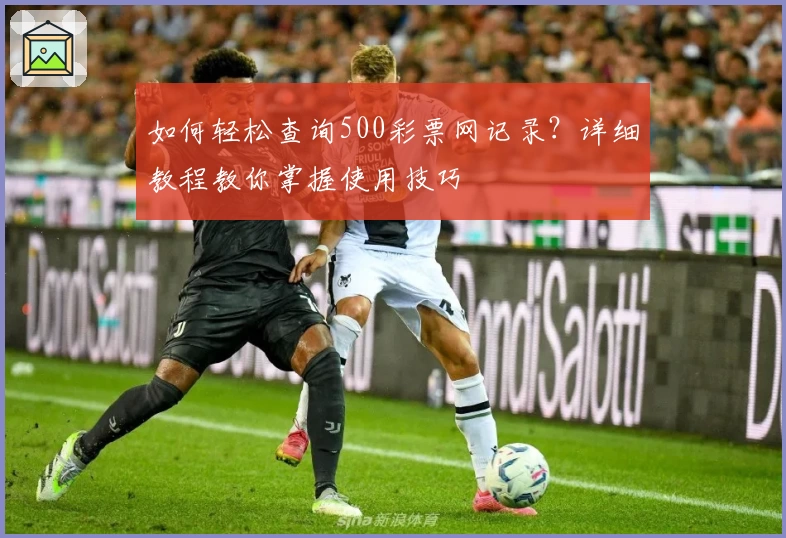 如何轻松查询500彩票网记录？详细教程教你掌握使用技巧