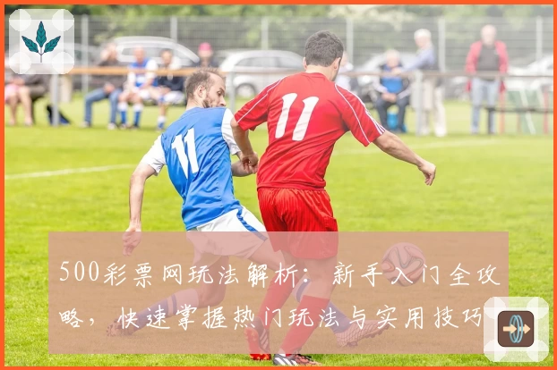 500彩票网玩法解析：新手入门全攻略，快速掌握热门玩法与实用技巧