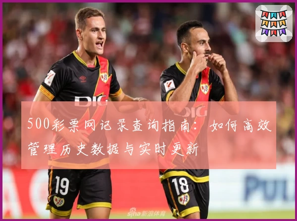 500彩票网记录查询指南：如何高效管理历史数据与实时更新