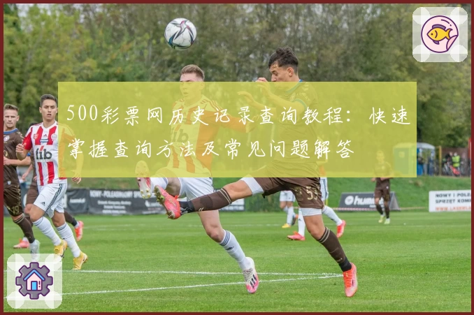 500彩票网历史记录查询教程：快速掌握查询方法及常见问题解答