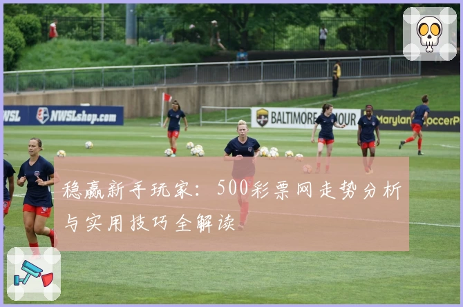 稳赢新手玩家：500彩票网走势分析与实用技巧全解读