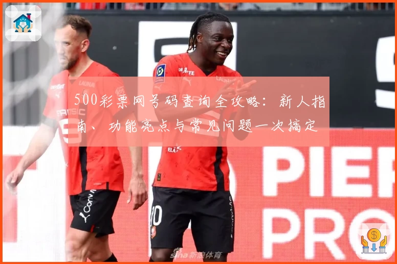 500彩票网号码查询全攻略：新人指南、功能亮点与常见问题一次搞定
